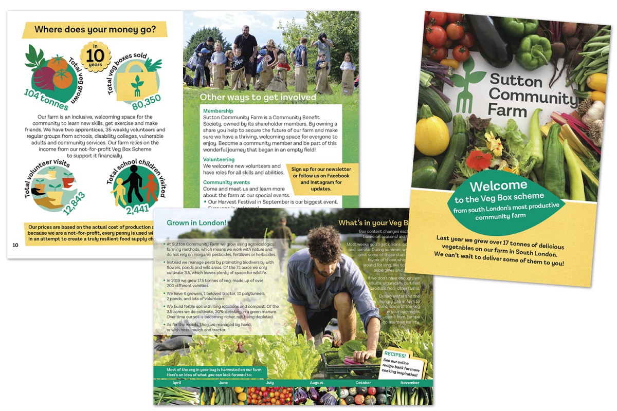 graphic design for community farm booklet, showing photos of veg growing, graphic illustrations, veg boxes