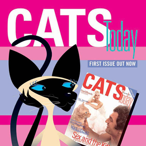 Cats Today Siamese cat magazine cover design