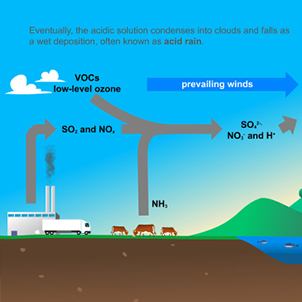 animation still from nitrogen cycle info-graphic
