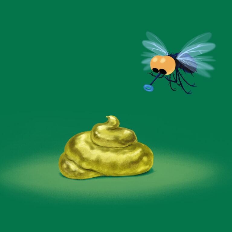 A cartoon fly looking at a golden poo